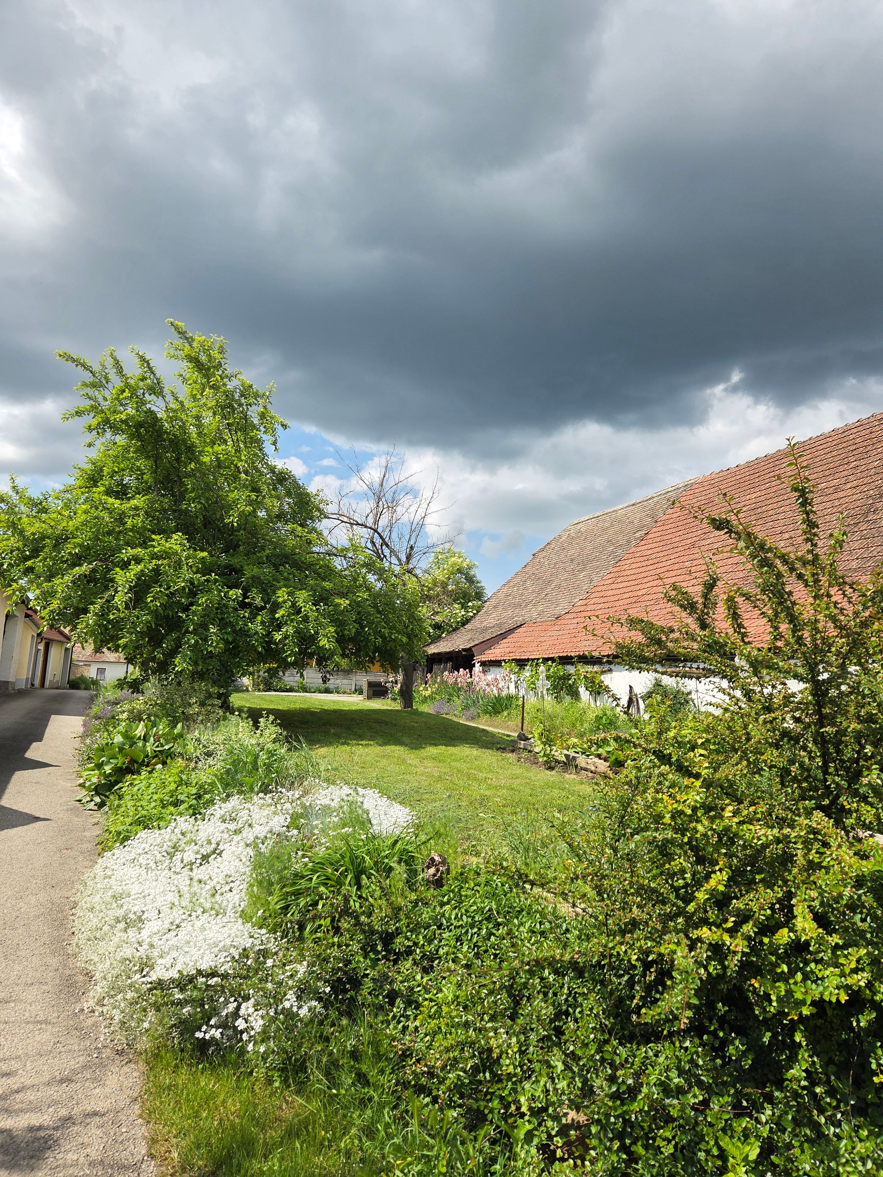 Ländliche Szene mit bewölktem Himmel, grüner Wiese und einem Gebäude mit rotem Ziegeldach.