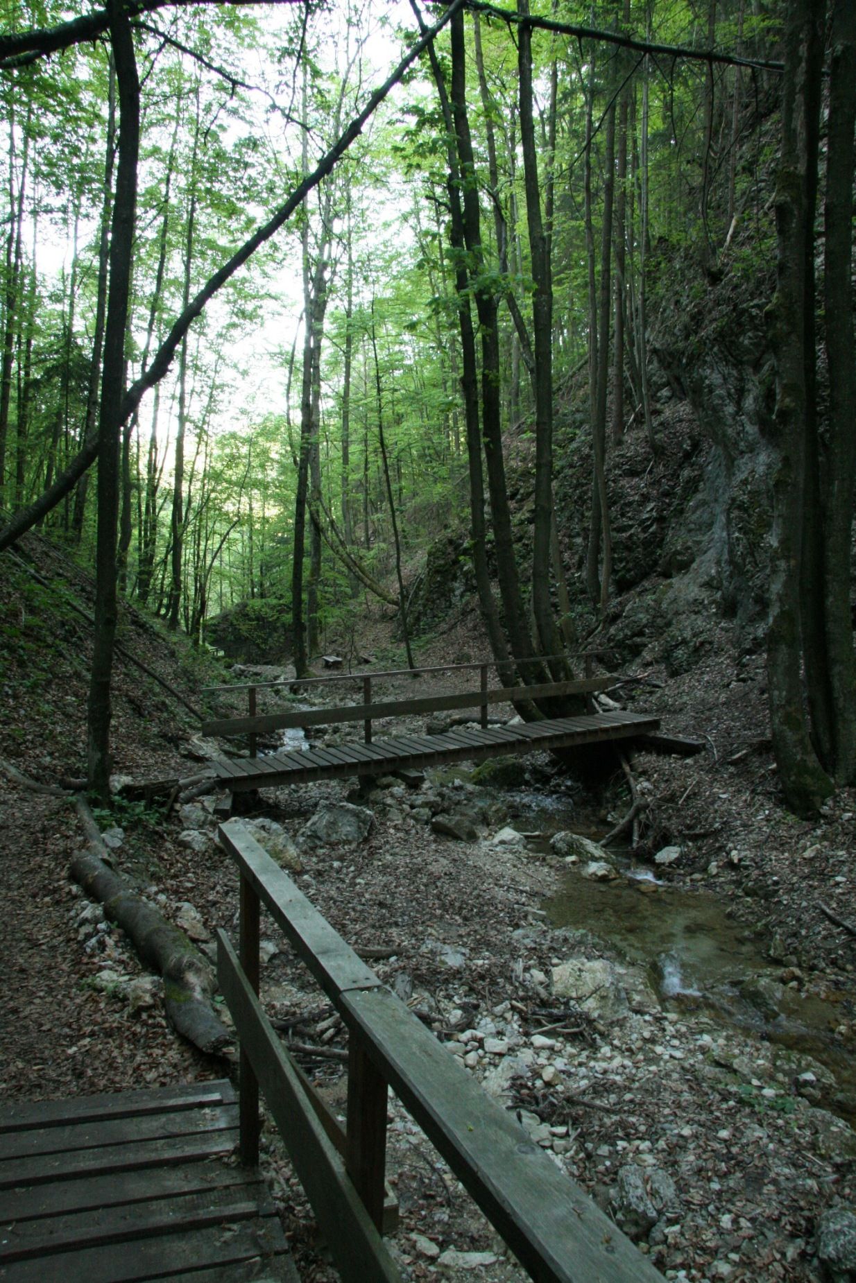 Holzbrücke über einen kleinen Bach in einem bewaldeten Tal.