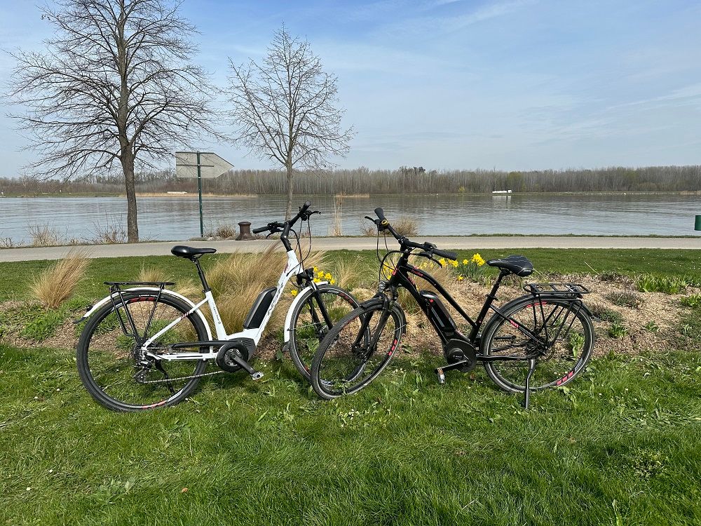 Zwei E-Bikes stehen auf einer Wiese vor einem Fluss.