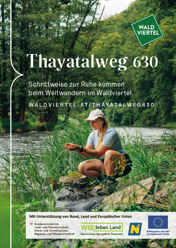 Das Coverbild zeigt eine Person, die mit beiden Händen Wasser schöpft und sich am Ufer der Thaya erfrischt.