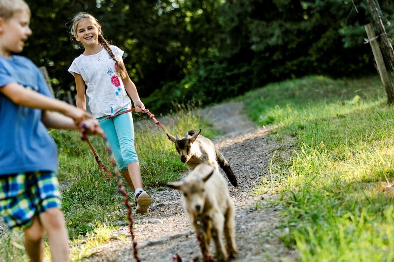 Urlaub am Zwergerlhof