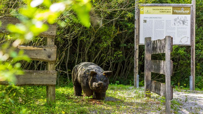 Holzskulptur eines Wildschweins auf einem Naturpfad mit Infotafel im Hintergrund.