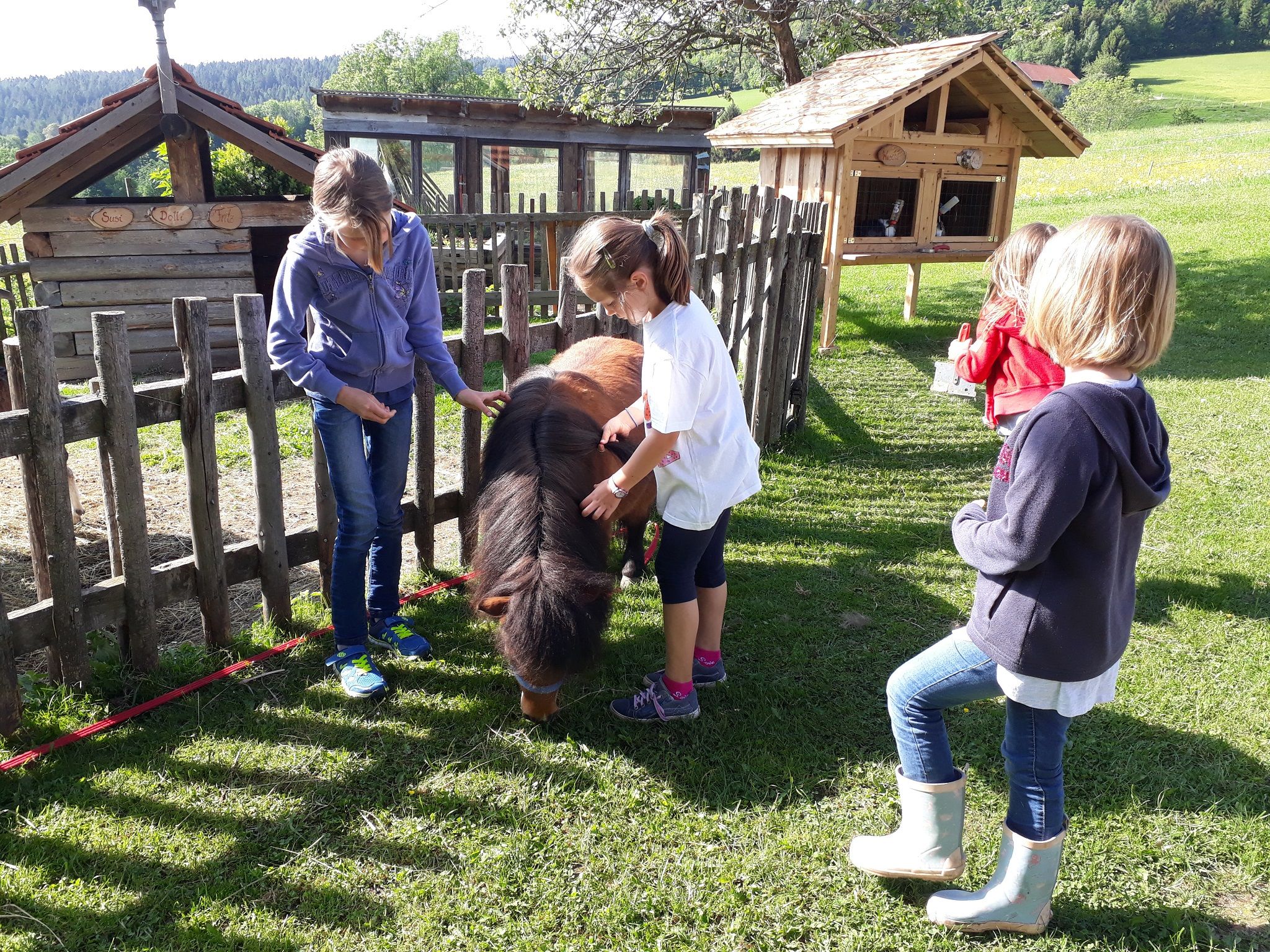 Kinder streicheln ein Pony auf einer Wiese neben einem Holzzaun.