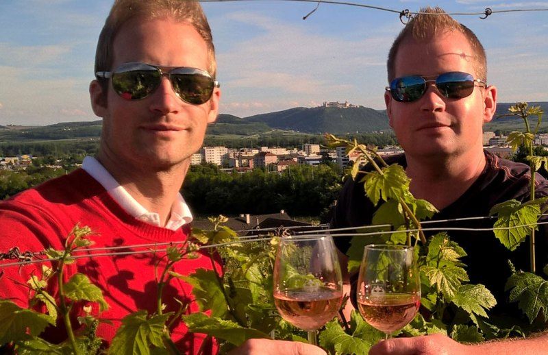 Zwei Männer mit Sonnenbrillen stoßen mit Weingläsern in einem Weinberg an.