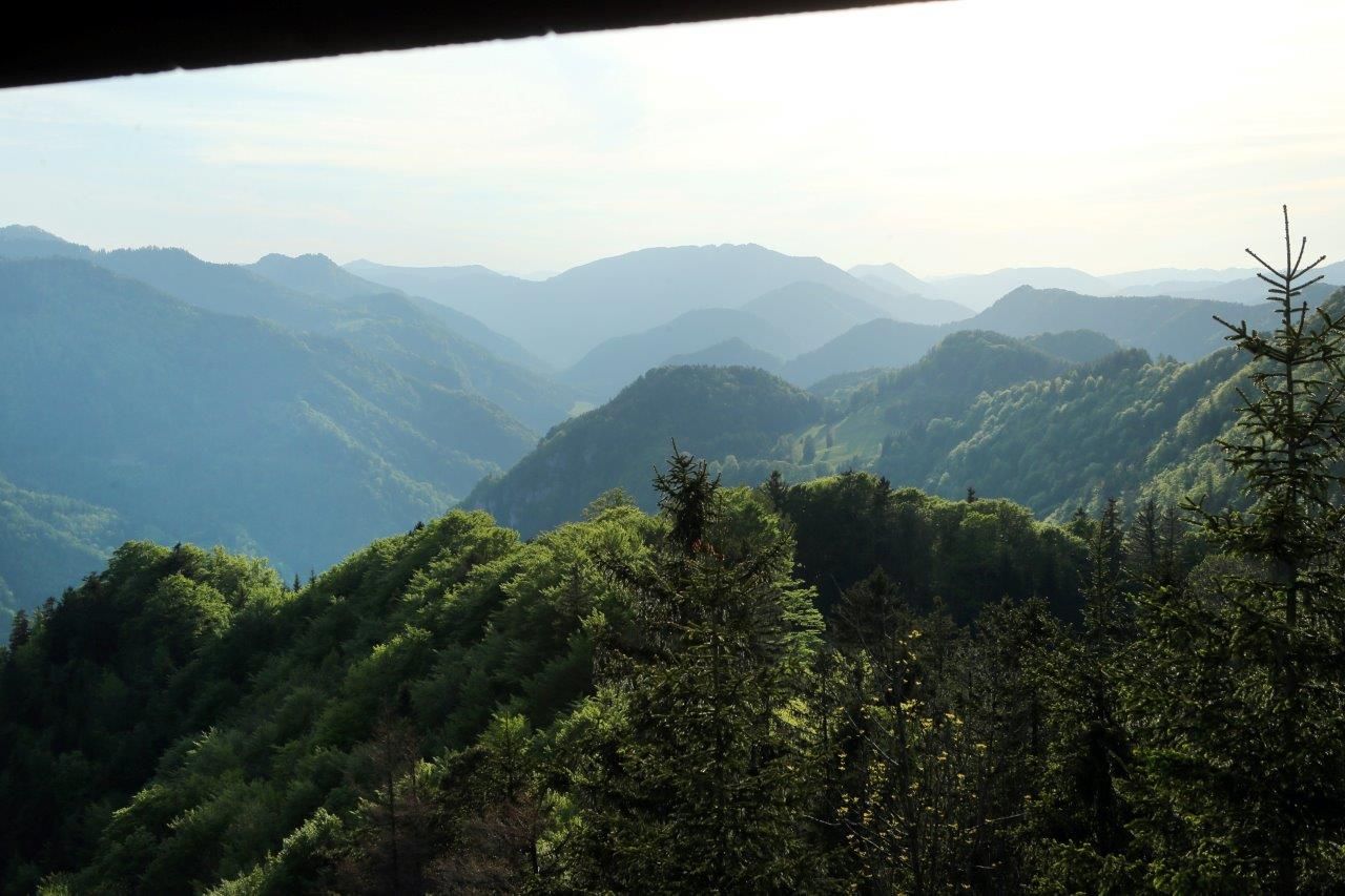 Blick auf bewaldete Hügel und Berge in der Ferne bei Sonnenuntergang.