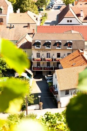 Blick auf ein Gebäude mit der Aufschrift 'Haus Oestreicher', umgeben von anderen Häusern und grünen Blättern im Vordergrund.