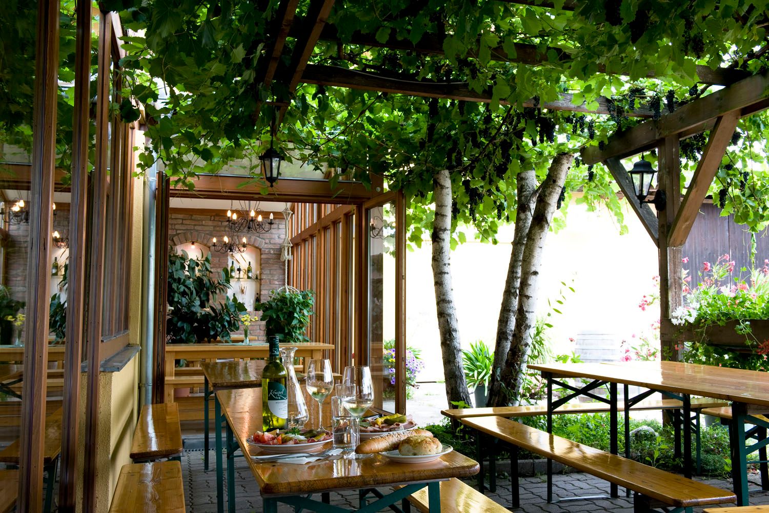 Gemütliche Terrasse mit Holztischen, Weinflasche und Gläsern, umgeben von grünen Pflanzen und Weinreben.