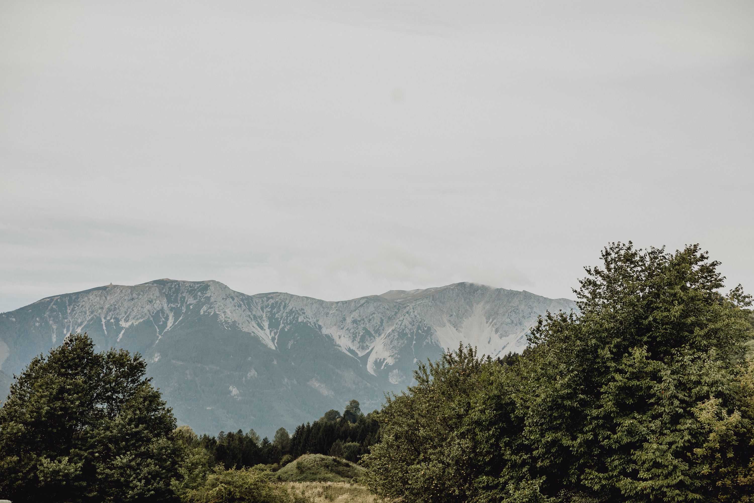 Blick auf den Schneeberg mit grünen Bäumen im Vordergrund.