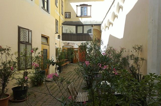 Ein sonniger Innenhof mit Pflanzen und Sitzgelegenheiten.