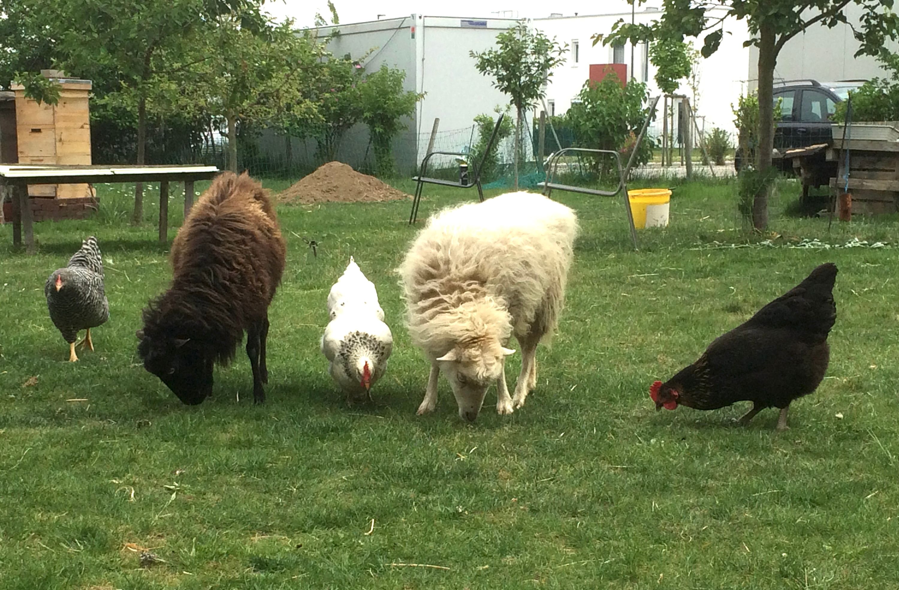 Unsere Tiere