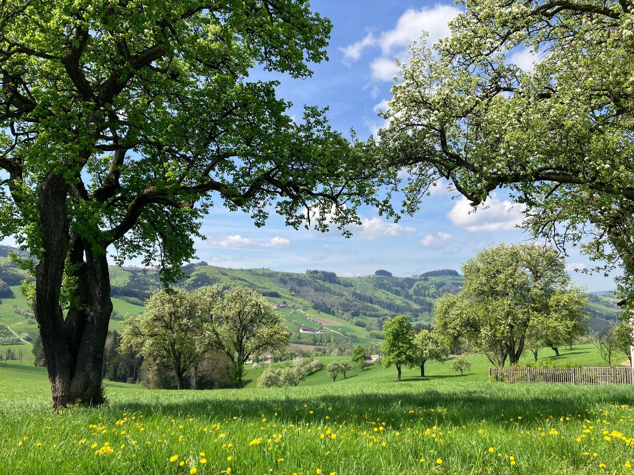 Unterwegs am Trefflingblickweg