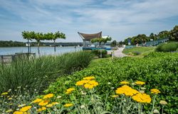 Donaubühne mit Donau, blühende Sträucher, Bäume, blauer Himmel und Sonnenschein sind zu sehen.