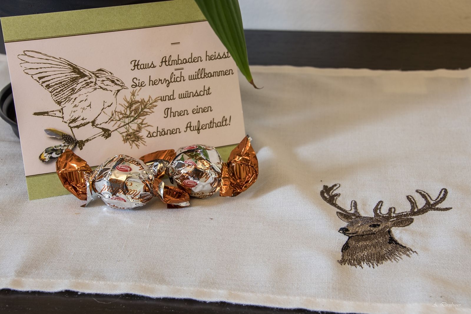 Willkommenskarte mit Vogelzeichnung und Pralinen auf Tischdecke mit Hirschmotiv.