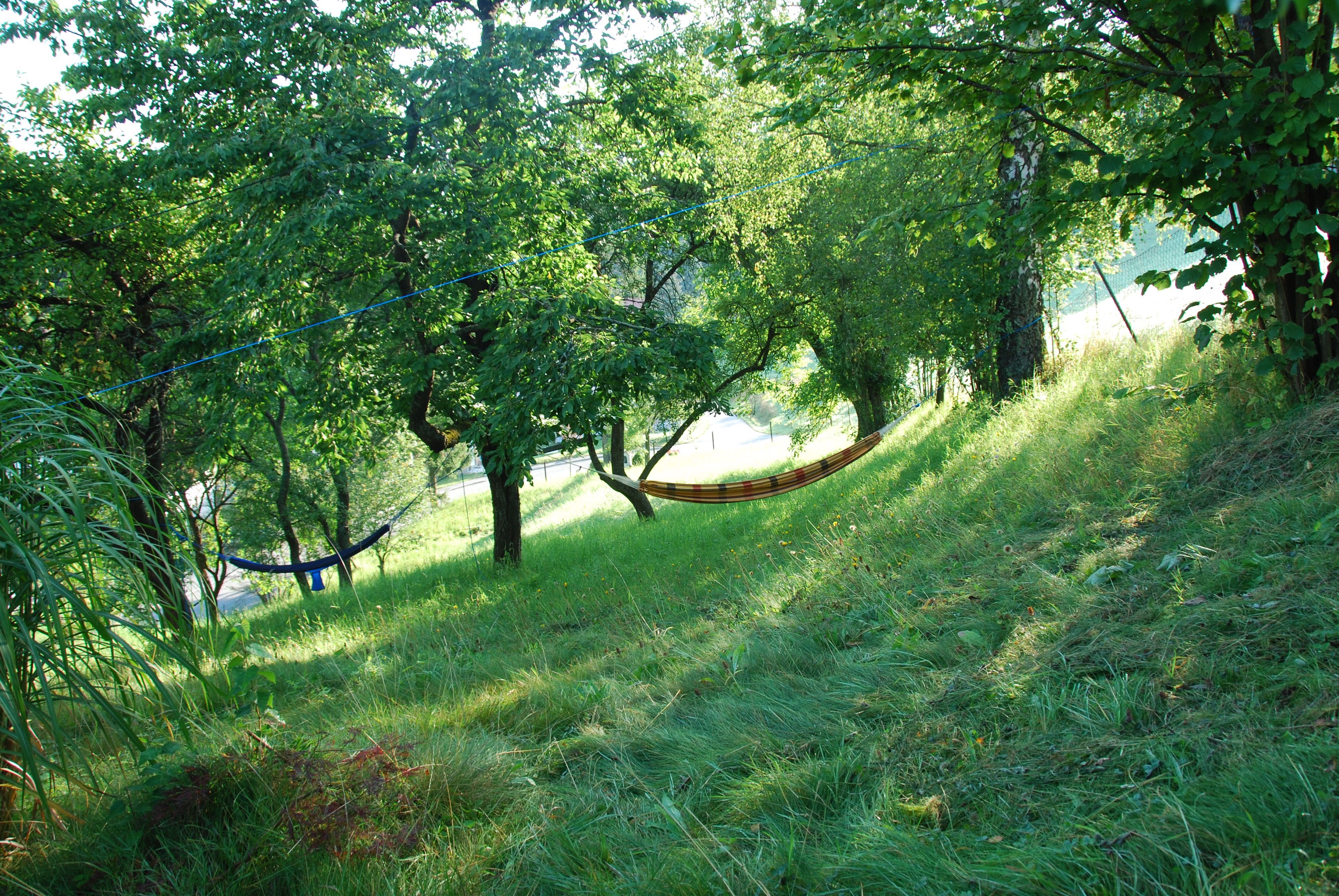 Blick in den Garten 