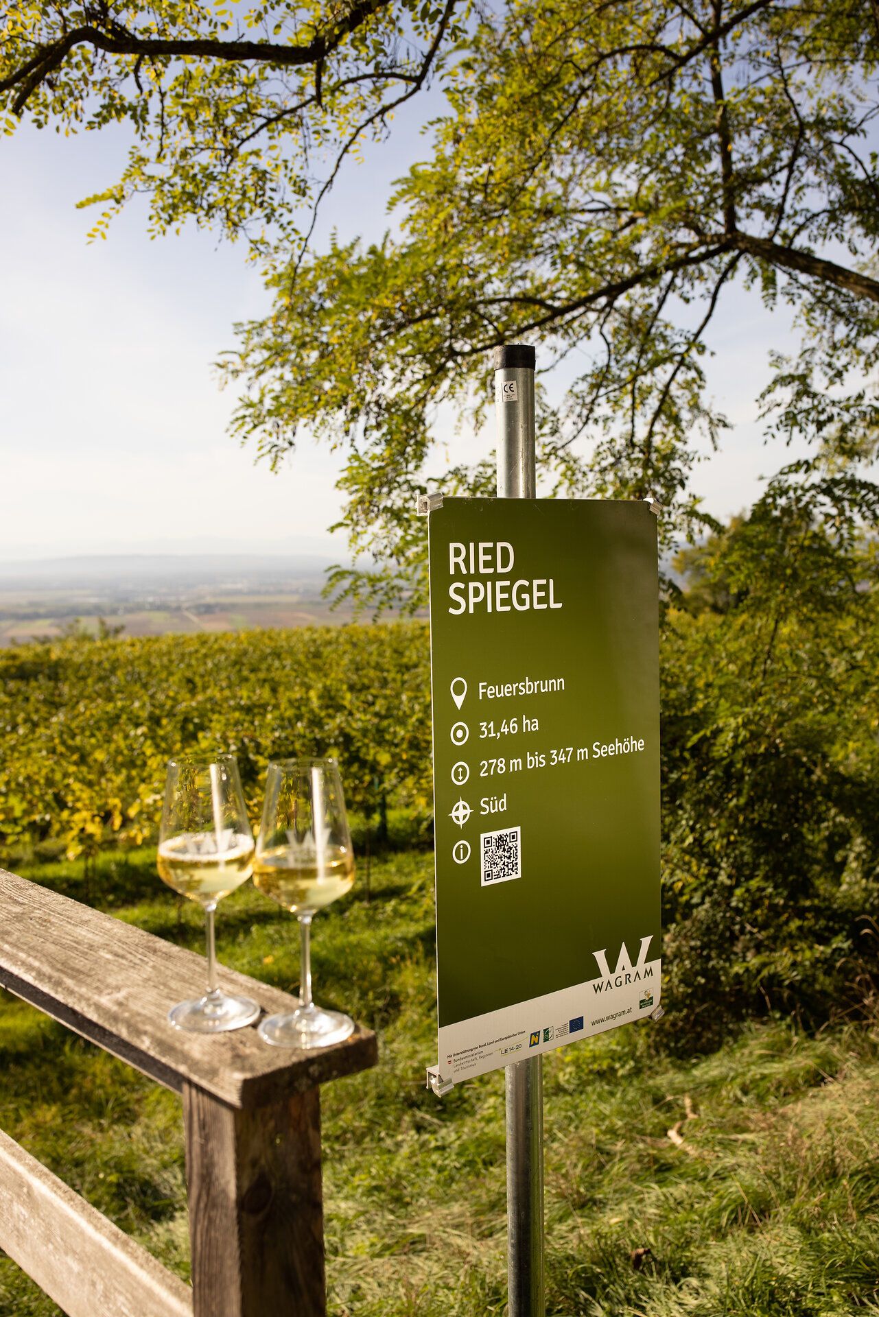 Inmitten der sanften Hügel erstrecken sich die Weinreben, die im warmen Licht des Frühlings erblühen. Zwei Gläser mit goldenem Wein stehen bereit, um den Genuss der Region zu feiern. Die Aussicht auf die weitläufigen Weinlandschaften verspricht unvergessliche Momente.