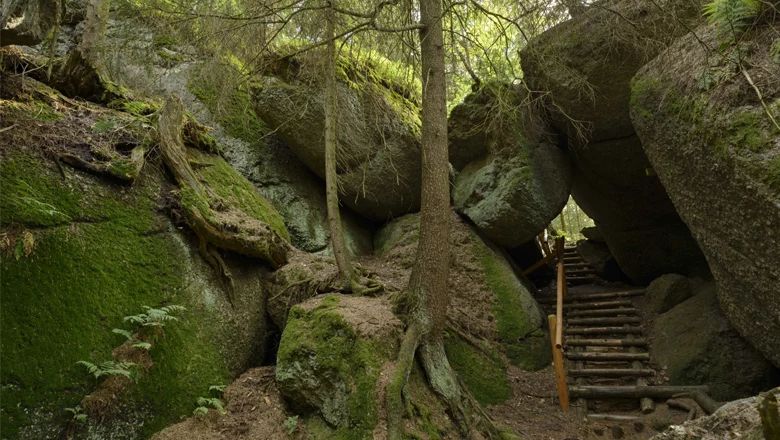 Felsformation mit moosbewachsenen Steinen und Bäumen, Holztreppe führt durch die Felsen.