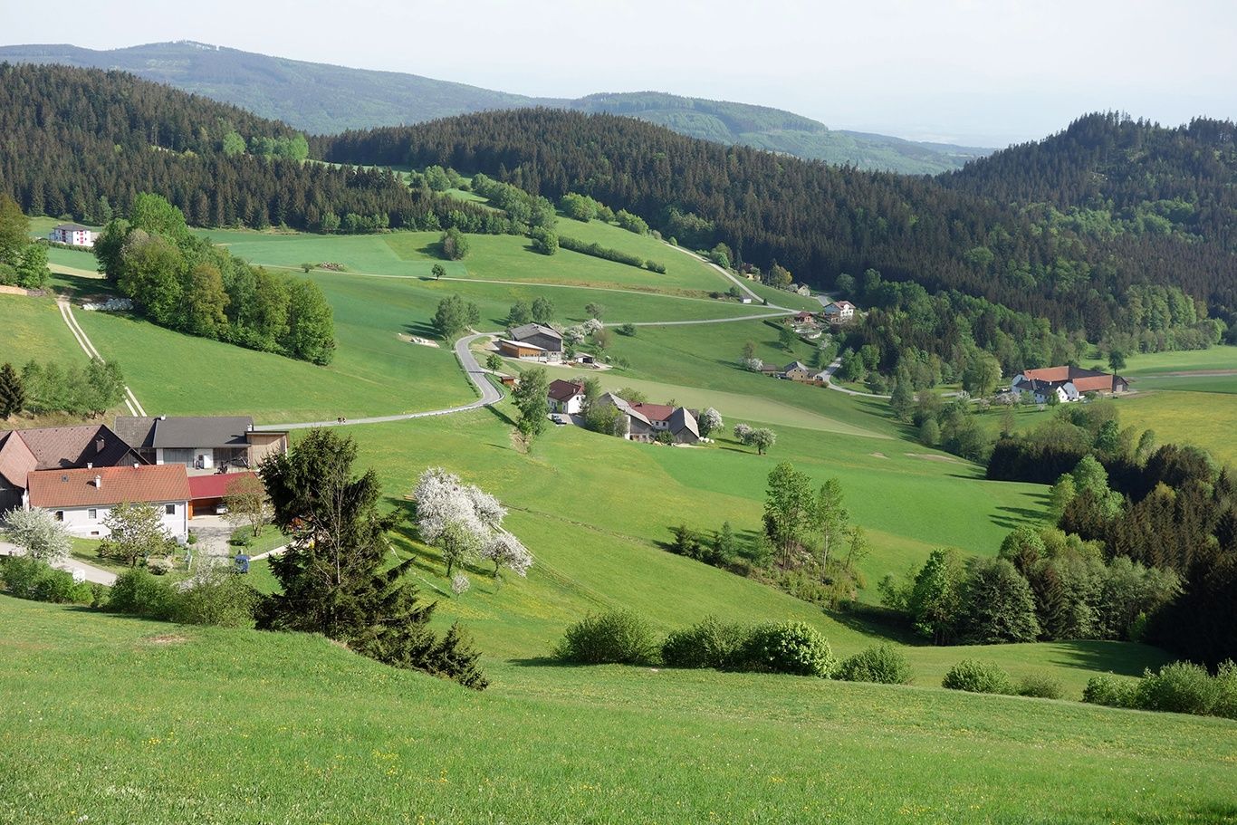 Herzsteinweg