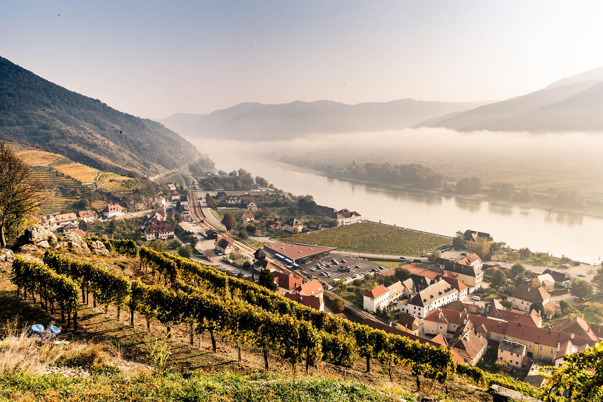 Herbstlicher Ausblick vom Tausendeimerberg in Spitz mit Weinbergen, Dorf und Fluss.