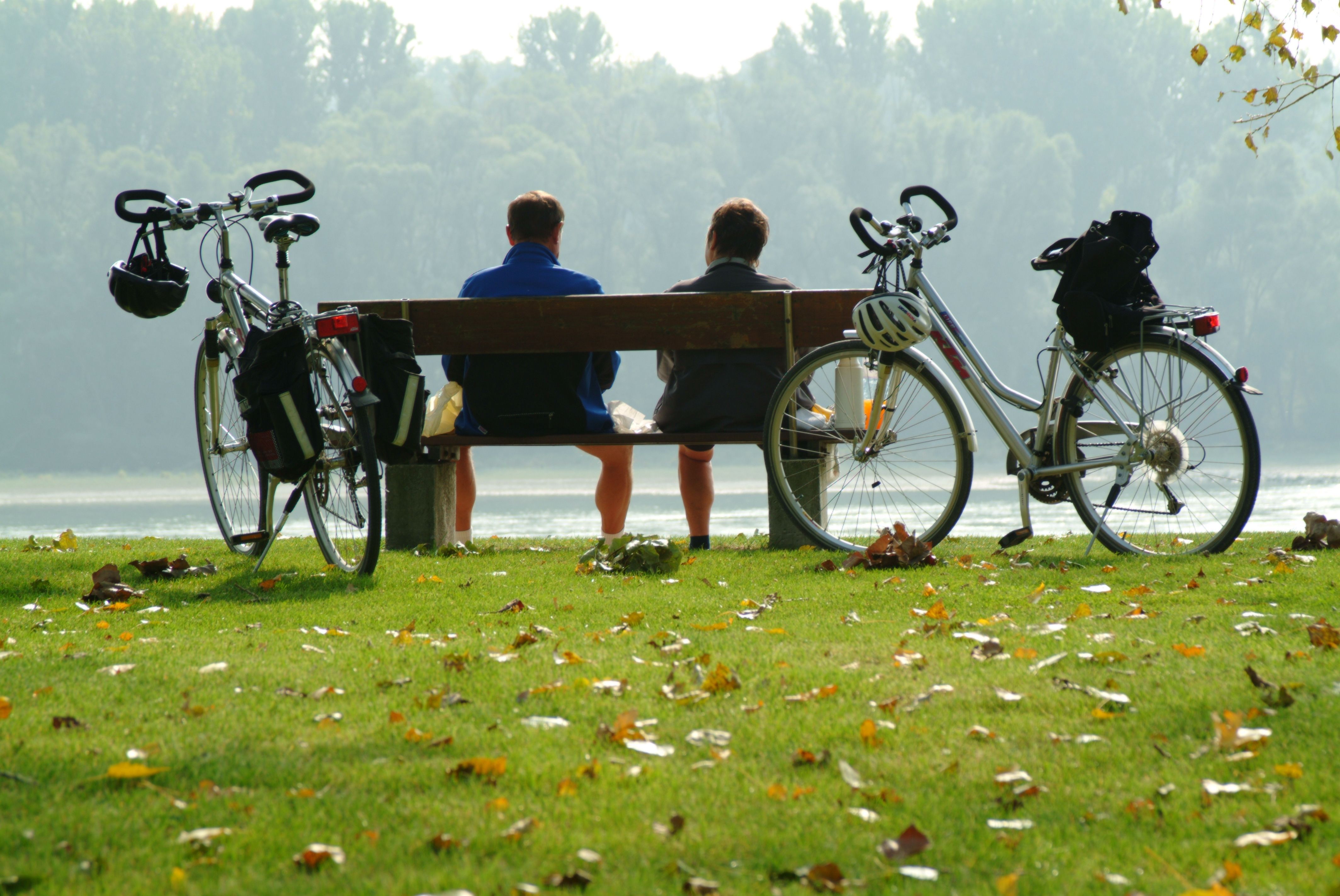 Zwei Personen sitzen auf einer Bank am See, mit Fahrrädern daneben, umgeben von herbstlichem Laub.