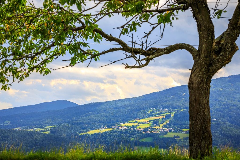 Tannhof mit Blick auf St.Corona