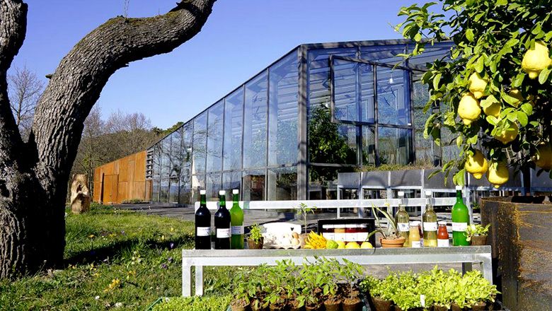 Produkte auf einem Tisch vor einem modernen Gewächshaus mit Bäumen und Pflanzen im Vordergrund.