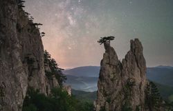 Die majestätischen Felsen erheben sich stolz über die üppige Waldlandschaft, während der klare Nachthimmel mit funkelnden Sternen geschmückt ist. Ein einsamer Baum auf einem der Gipfel symbolisiert die unberührte Natur und lädt Wanderer ein, die Ruhe und Schönheit dieser Region zu genießen.