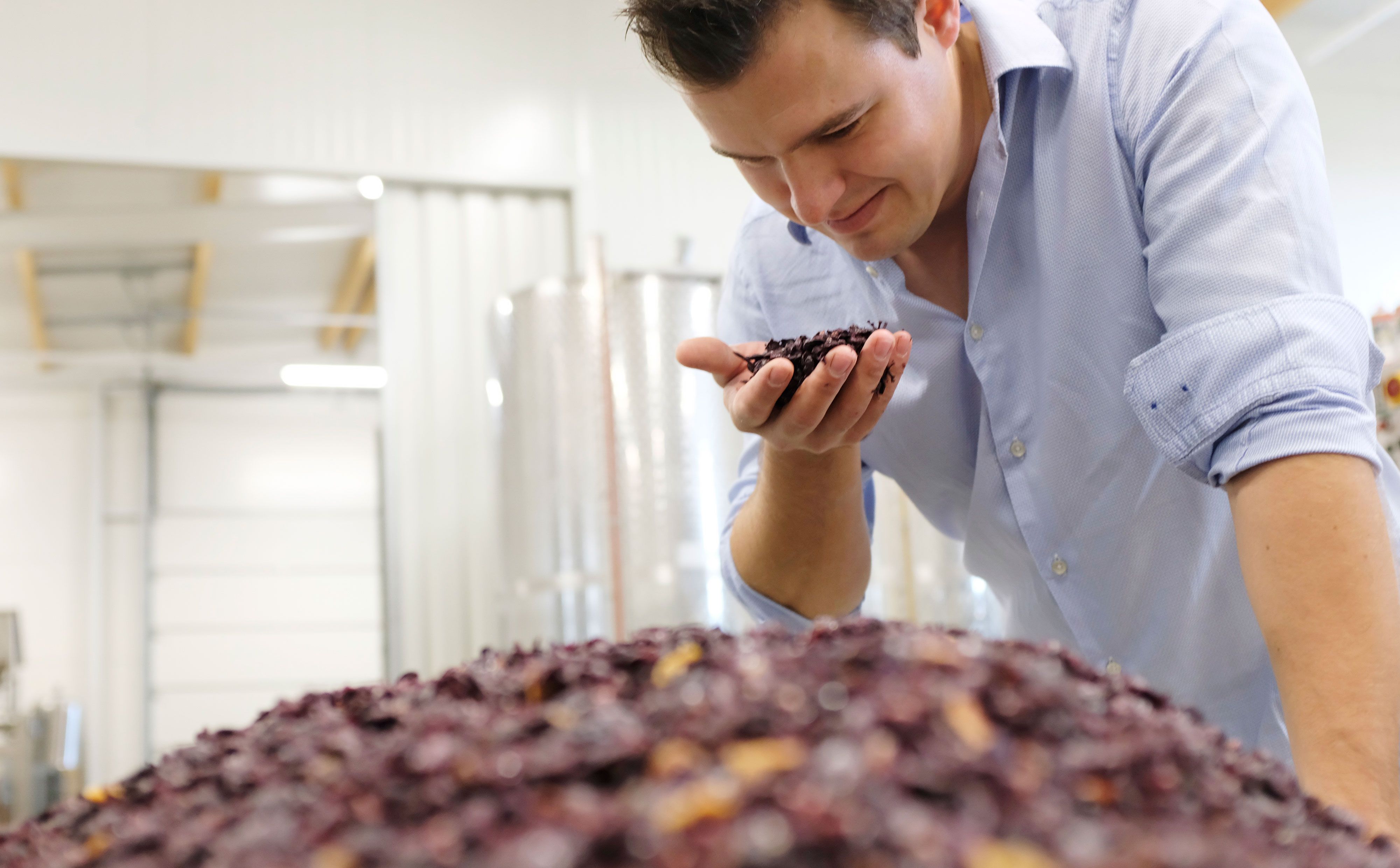 Weingut Michael Auer 