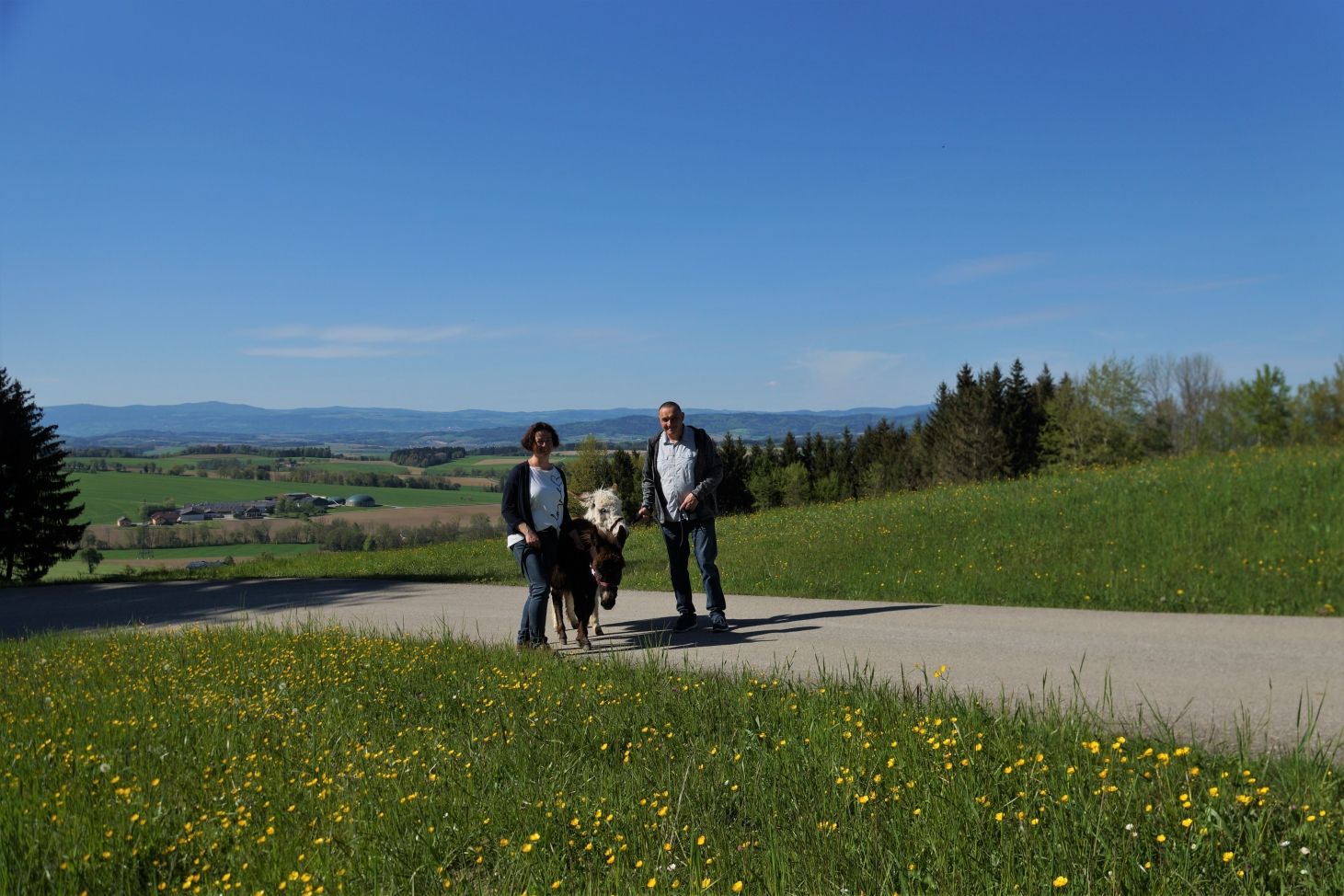 eselwanderung karnerhof