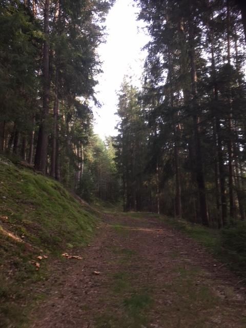 Rundweg Dachlstein mit Mariensitz