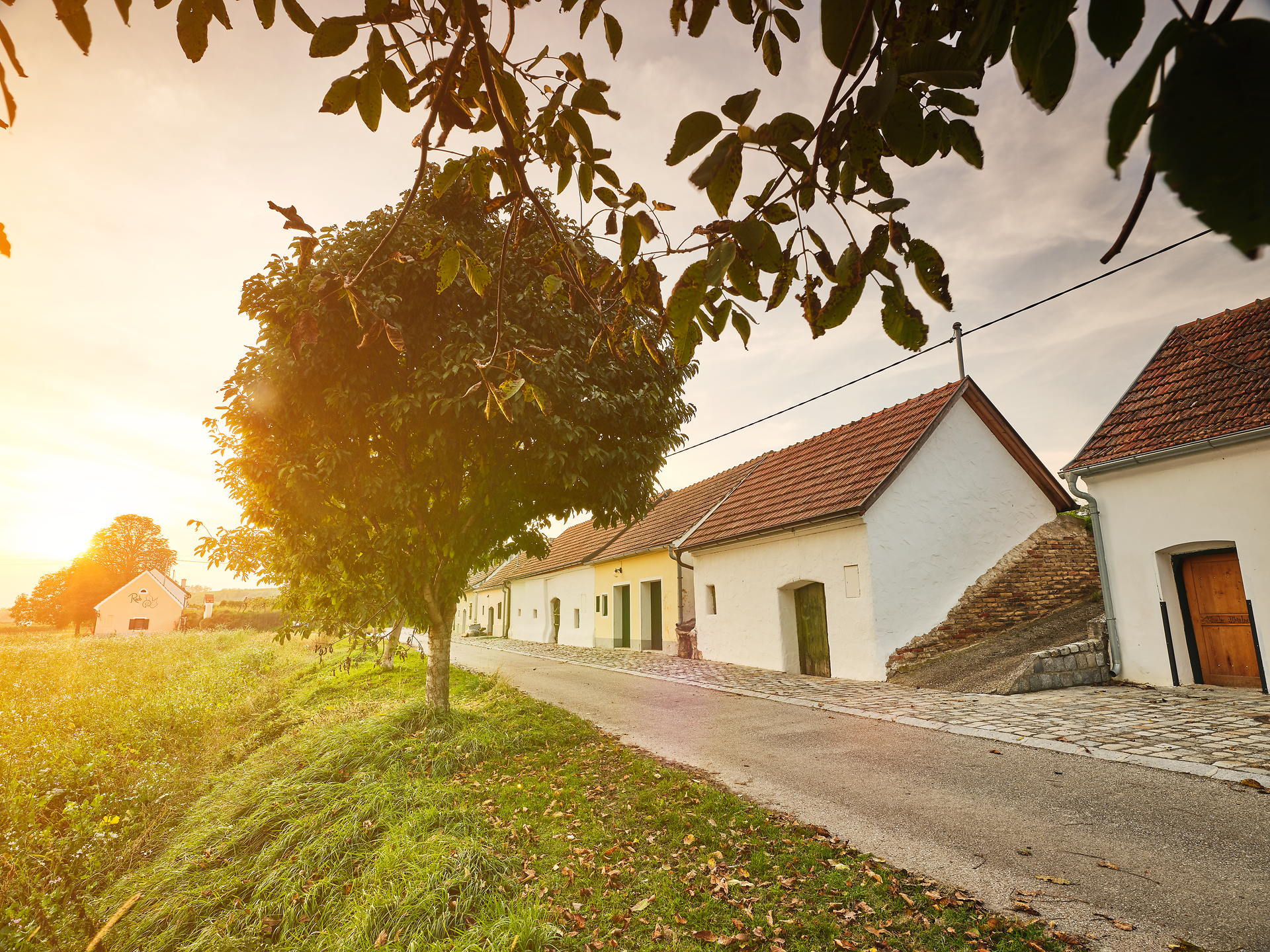 Die sanften Hügel der Weinlandschaft laden zu einem entspannten Spaziergang ein, während die warmen Sonnenstrahlen die Trauben zum Glänzen bringen. In der Kellergasse duftet es verführerisch nach frischem Most und regionalen Köstlichkeiten, die den Herbst zu einem Fest der Sinne machen.