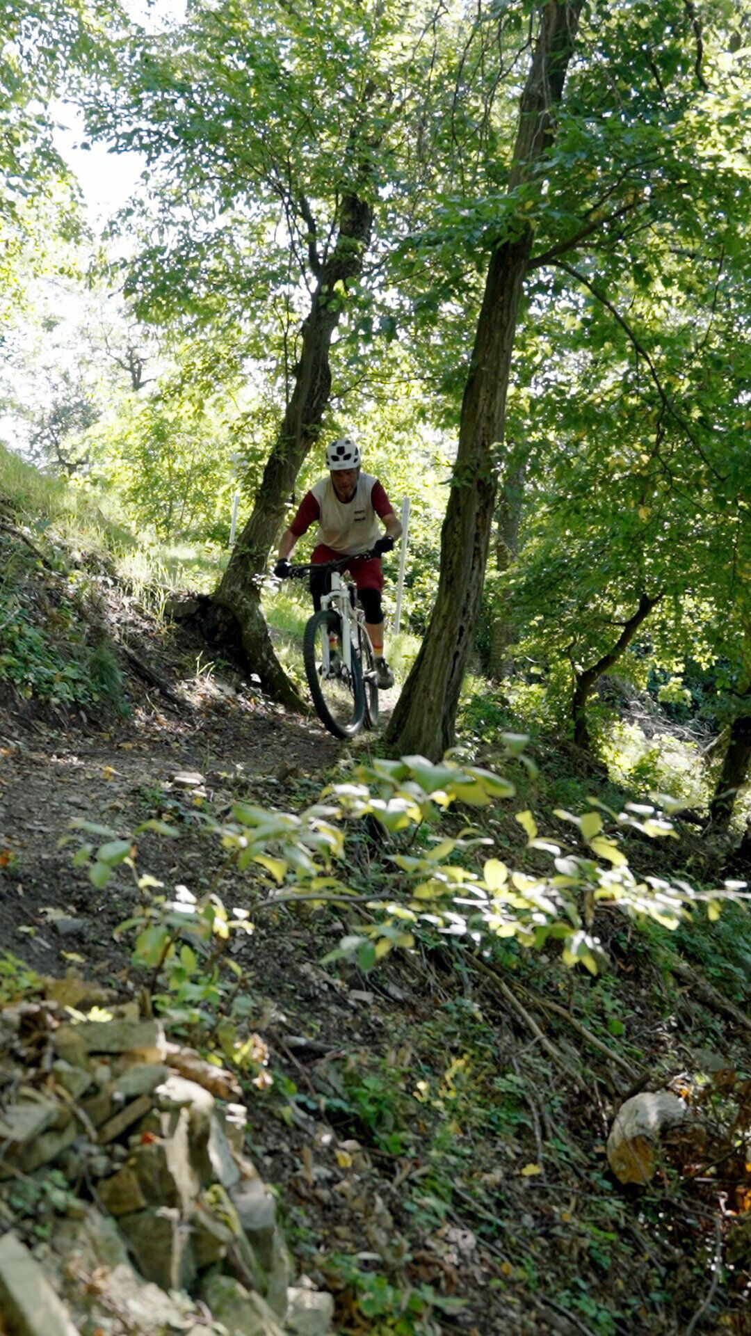 Ein Mountainbiker gleitet geschmeidig durch die grüne Waldlandschaft, umgeben von hohen Bäumen und dem sanften Licht der Sonne. Die frische Luft und die Geräusche der Natur schaffen eine perfekte Kulisse für ein unvergessliches Abenteuer auf zwei Rädern.
