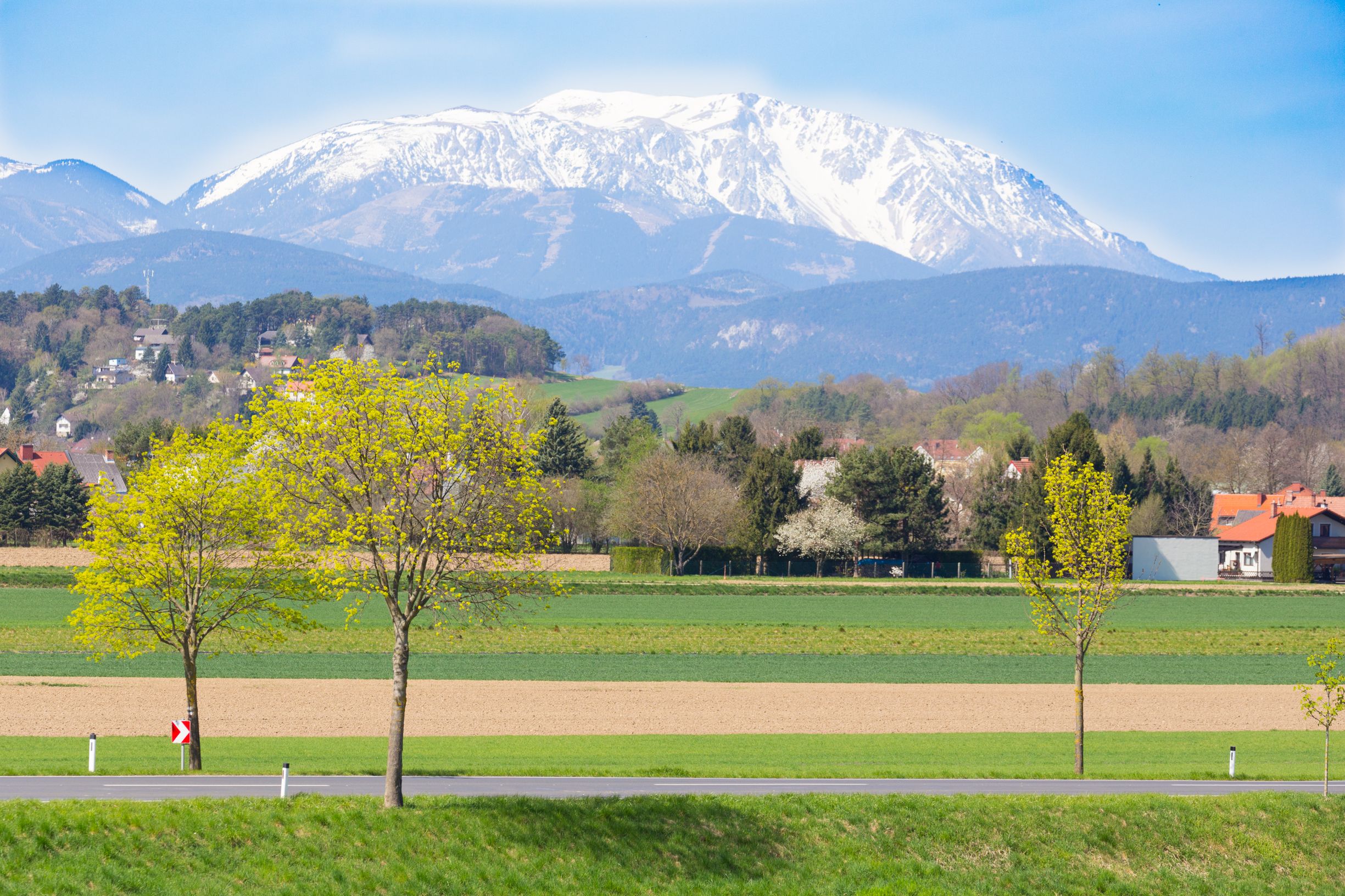 Blick auf den schneebedeckten Schneeberg vor einer frühlingshaften Landschaft