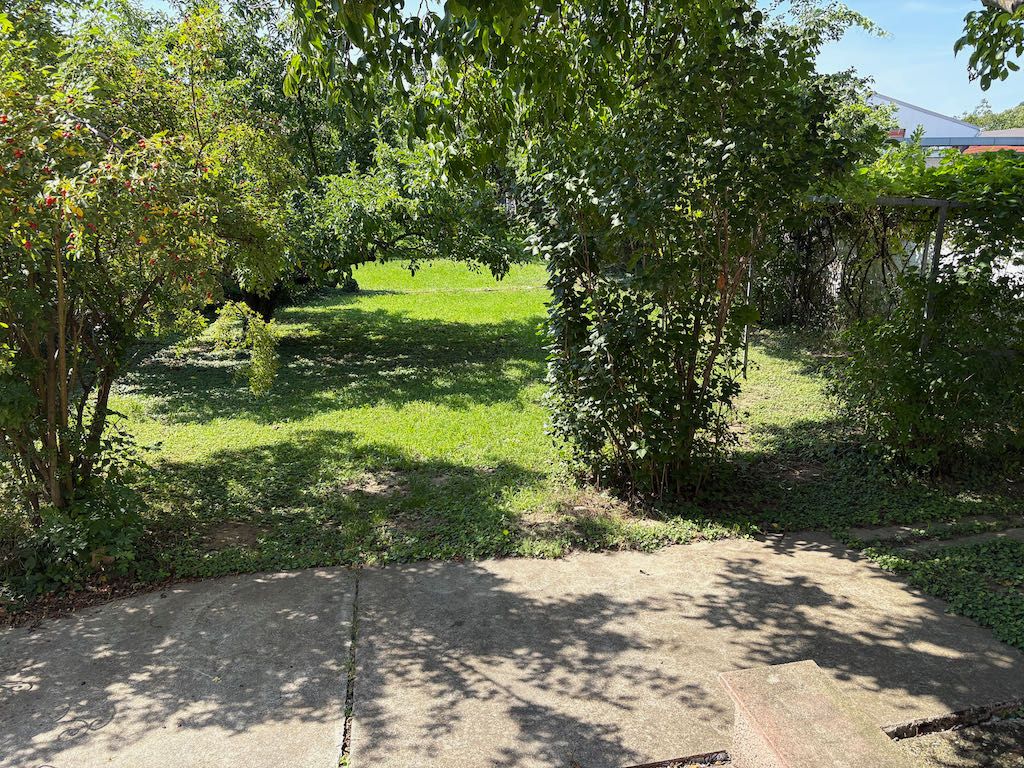 Garten mit Bäumen und Sträuchern, sonniger Tag.