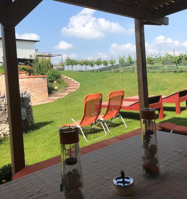 Blick von einer Terrasse auf einen Garten mit Liegestühlen und Weinreben im Hintergrund.