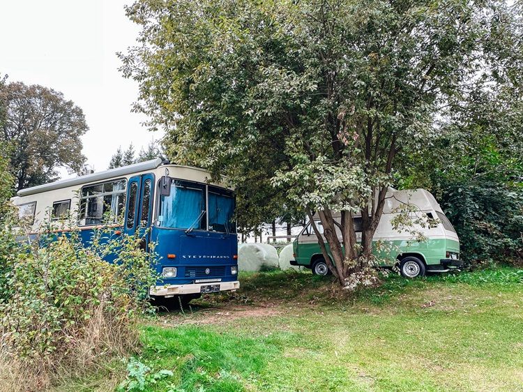Zwei alte, umfunktionierte Wohnmobile stehen auf einer grünen Wiese unter Bäumen.
