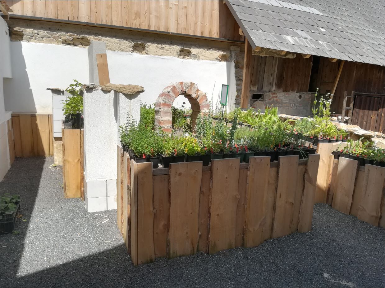 Verkaufsraum mit Pflanzen in Holzkisten und rustikaler Dekoration.