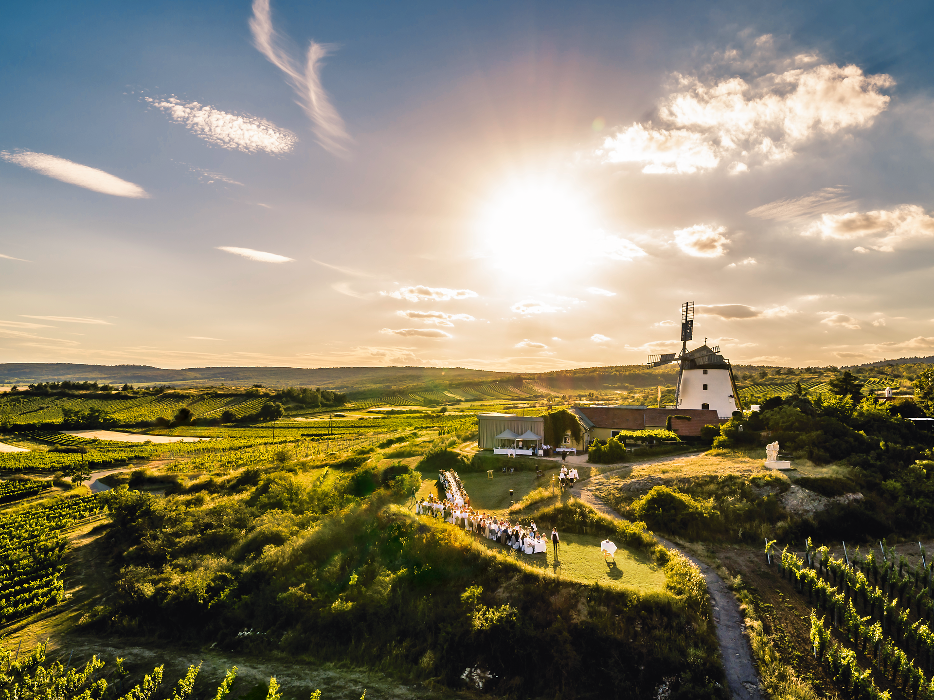 Die sanften Hügel des Weinviertels erstrecken sich bis zum Horizont, während die goldene Sonne über der malerischen Windmühle aufgeht. Umgeben von üppigen Weinreben und blühenden Wiesen, lädt dieser Ort dazu ein, die Ruhe der Natur zu genießen und die Schönheit der Landschaft zu entdecken.