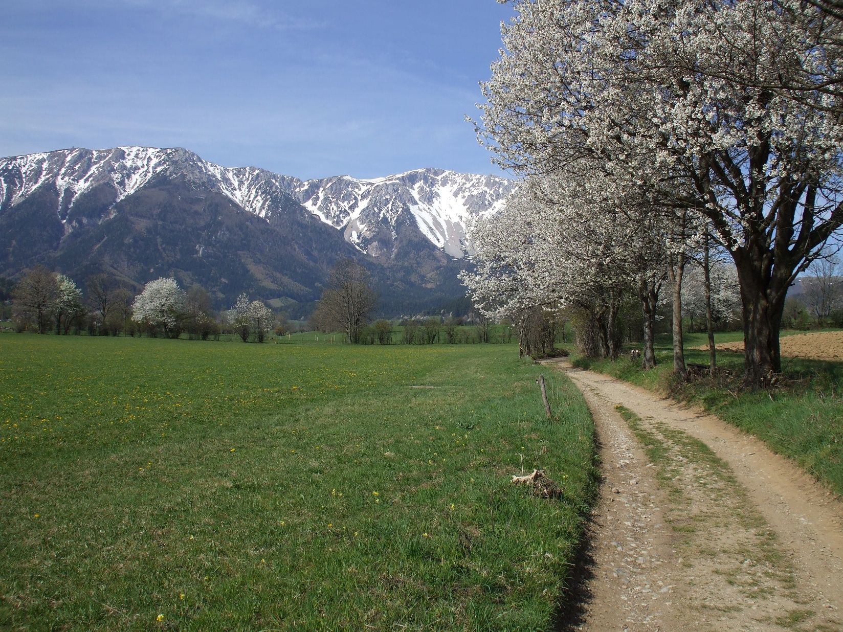 Schneeberg