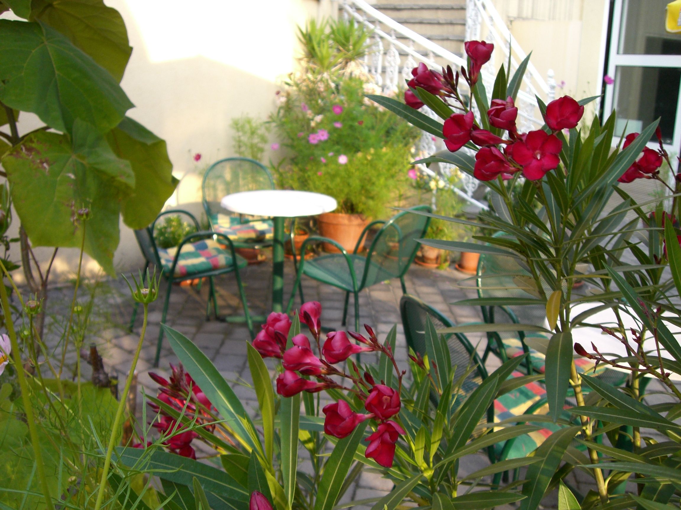 Ein gemütlicher Gartenbereich mit grünen Stühlen und Tischen, umgeben von blühenden Pflanzen.