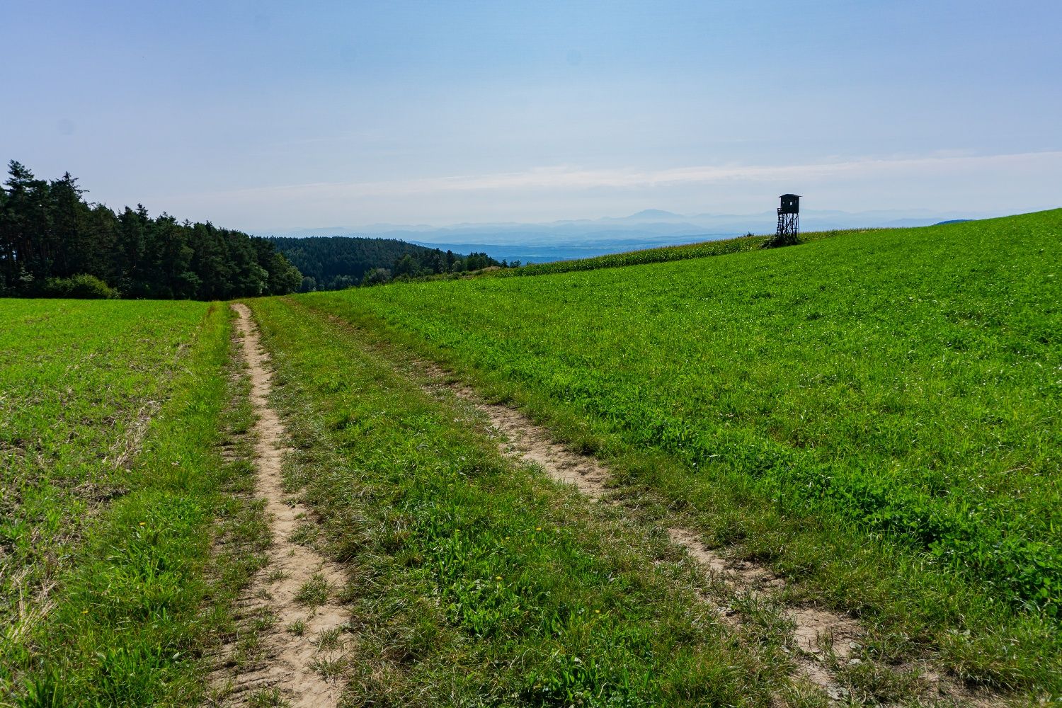 Nach dem Sattel, Blick zum Ötscher