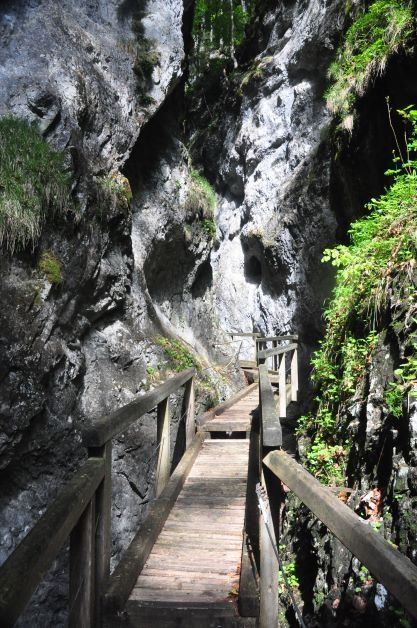 Falkenschlucht-Tour