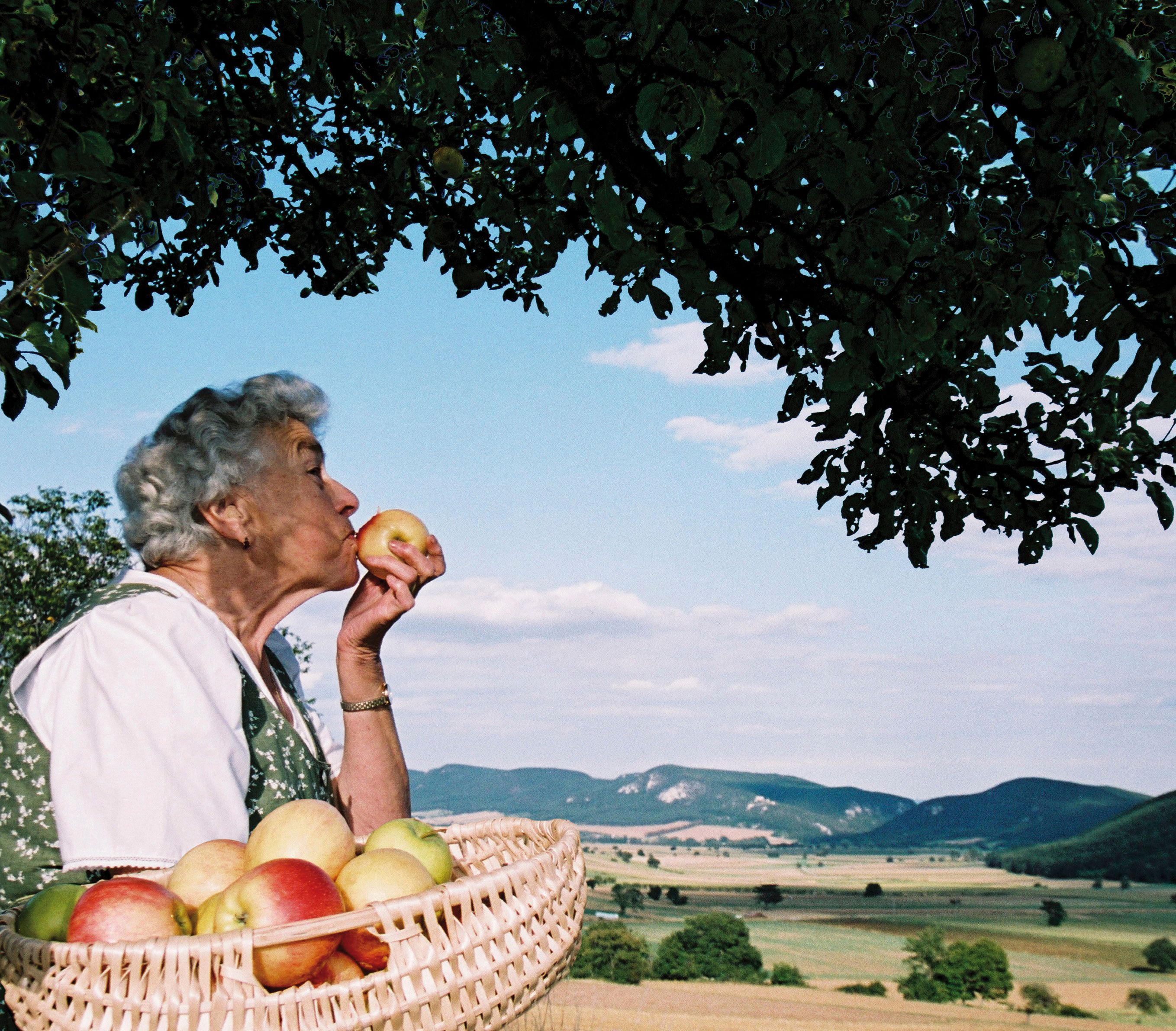 Ältere Frau mit Korb voller Äpfel, die einen Apfel küsst, vor einer Landschaft mit Hügeln und blauem Himmel.