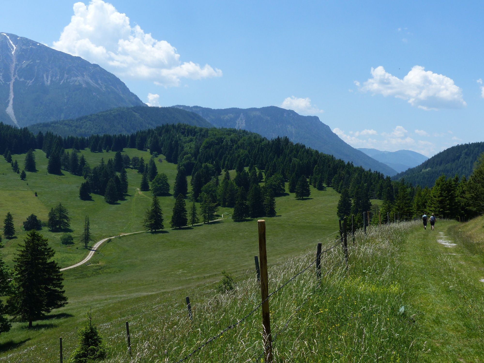 Auf der Mamauwiese Richtung Schoberalm