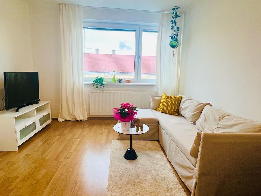 Helles Wohnzimmer mit Sofa, Couchtisch, Fernseher und Fenster mit Vorhängen.