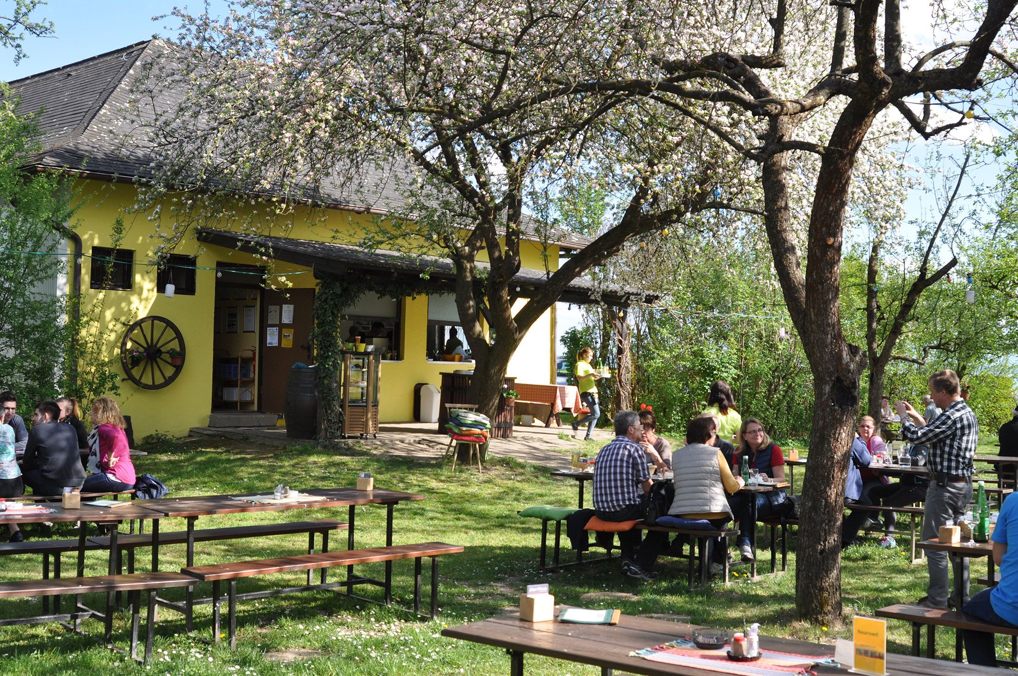 Menschen sitzen im Freien an Holztischen vor einem gelben Gebäude mit blühenden Bäumen.