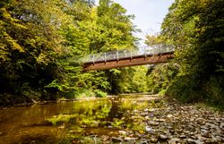 Ein malerischer Holzsteg schwebt über das glitzernde Wasser des Baches, umgeben von üppigem Grün und den warmen Farben des Herbstlaubs. Die sanfte Brise trägt den Duft der Natur und lädt zu einem entspannenden Spaziergang in dieser idyllischen Landschaft ein.