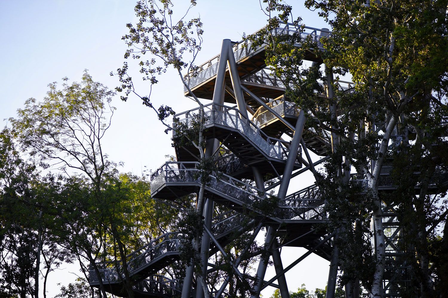 Metallkonstruktion eines Baumwipfelpfads inmitten von Bäumen.