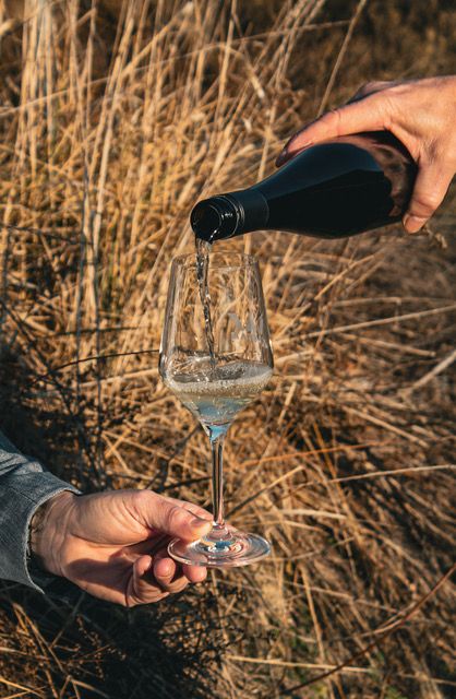 Weingut Riedl_03