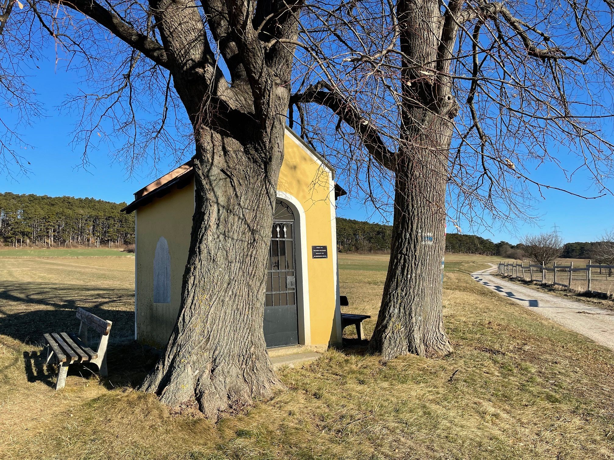 Kleine gelbe Kapelle zwischen zwei Bäumen auf einem Feldweg.