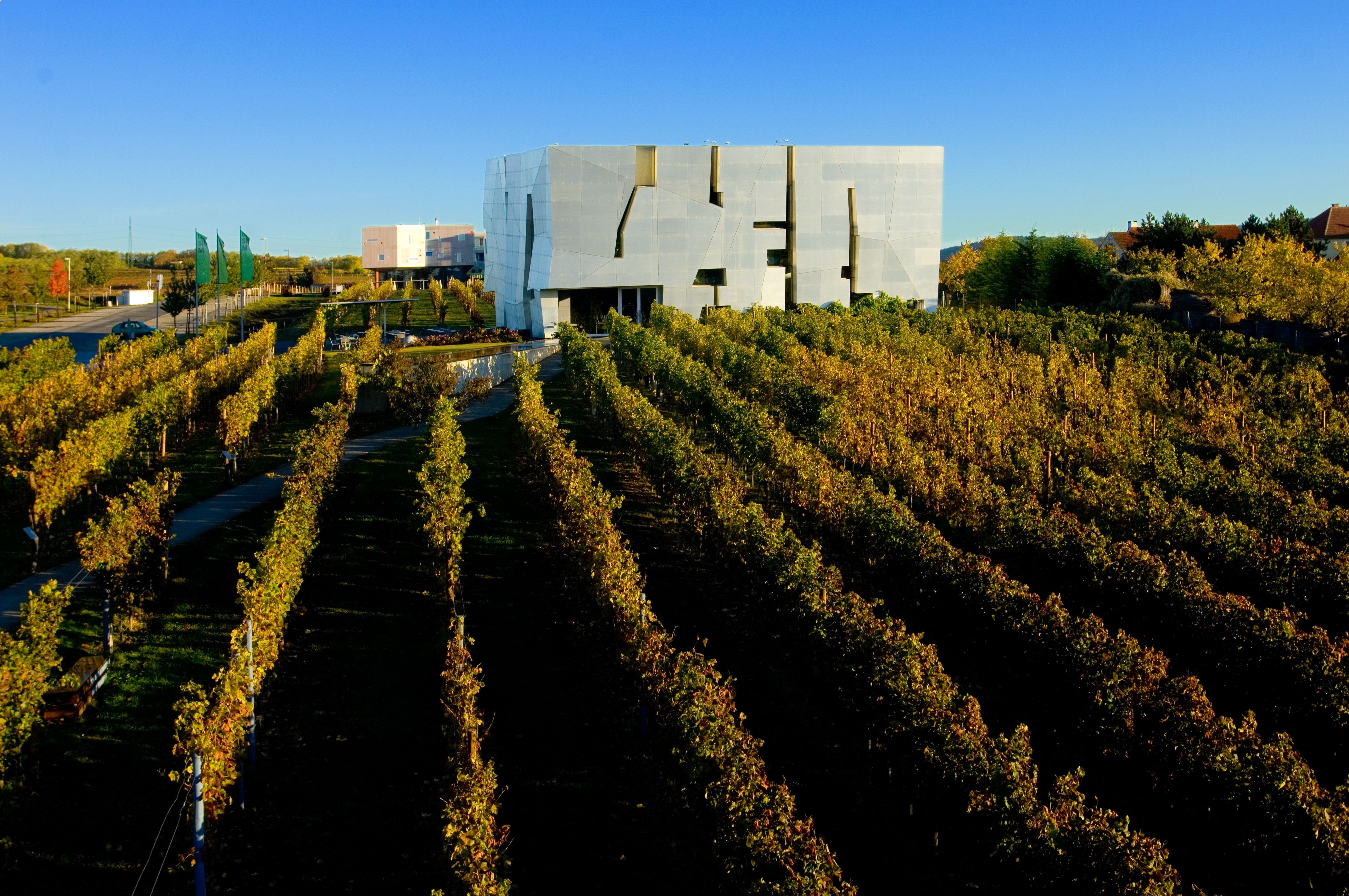 Moderne Architektur des LOISIUM in Langenlois, umgeben von Weinbergen.